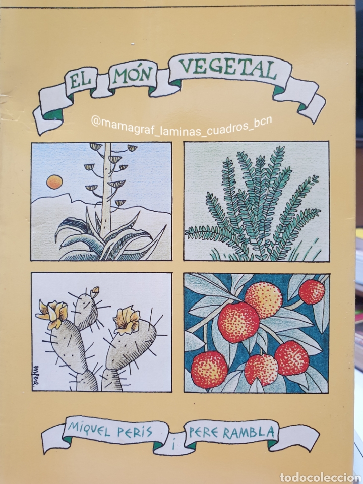 Livros: EL MON VEGETAL