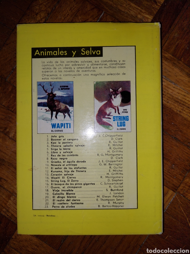 Libros: El perro Setter fantasma - Robert Murphy - Foto 2