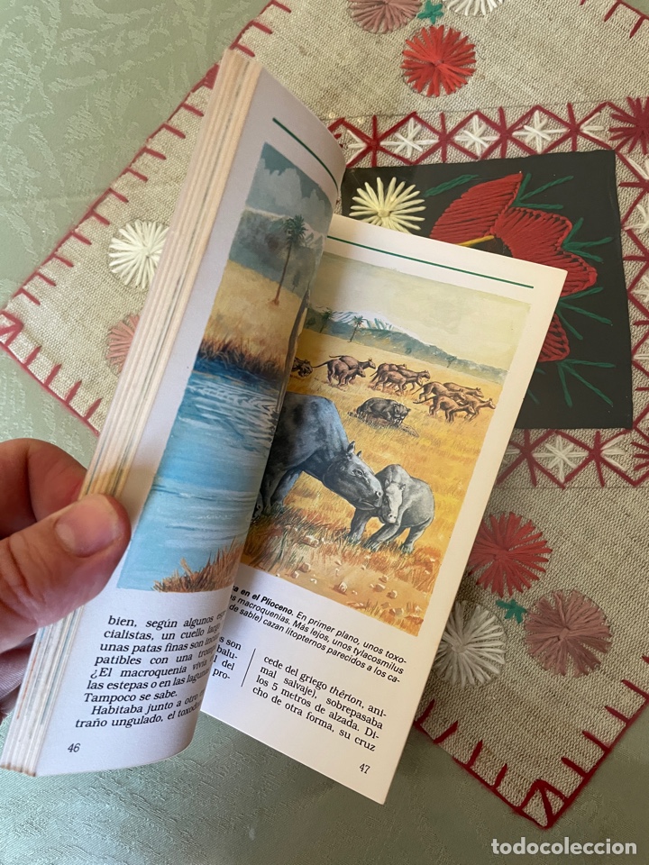 Libros: Dinosaurios (gabriel beaufay) - Foto 2