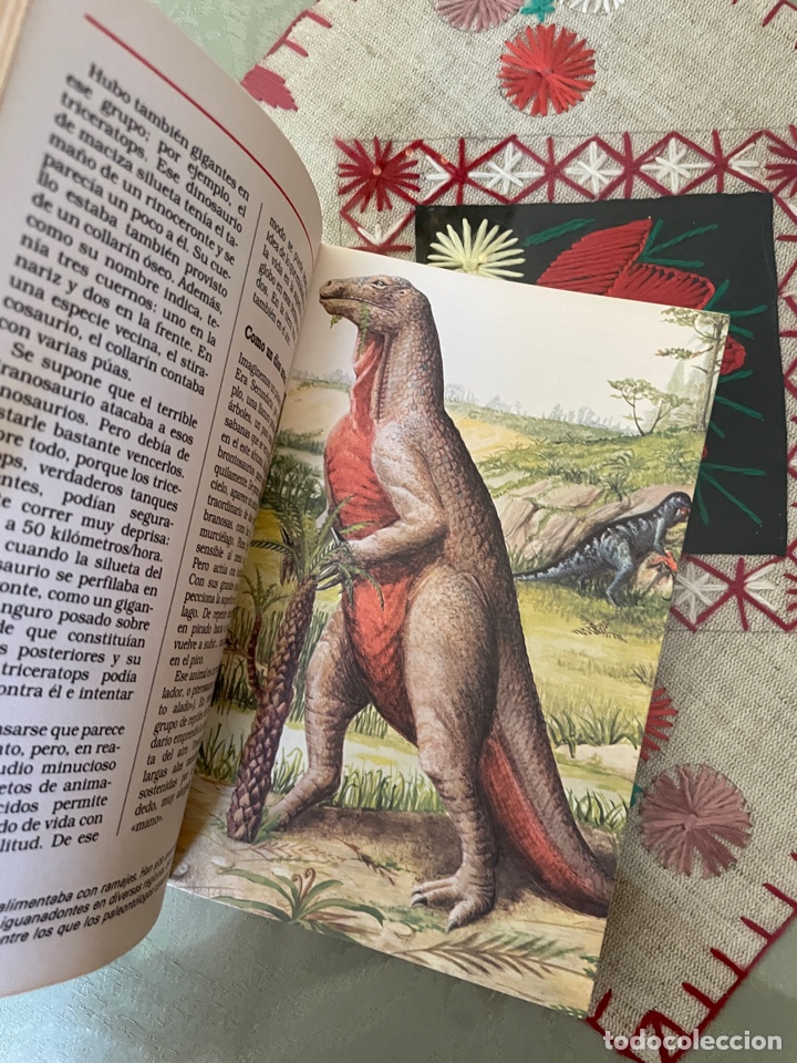 Libros: Dinosaurios (gabriel beaufay) - Foto 3