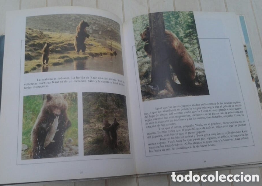 Libros: EL OSO (LIBRO de la PEL&Iacute;CULA) - Foto 4