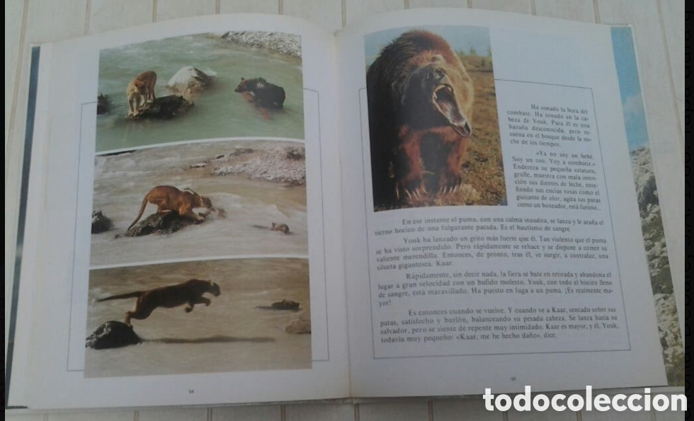 Libros: EL OSO (LIBRO de la PEL&Iacute;CULA) - Foto 3