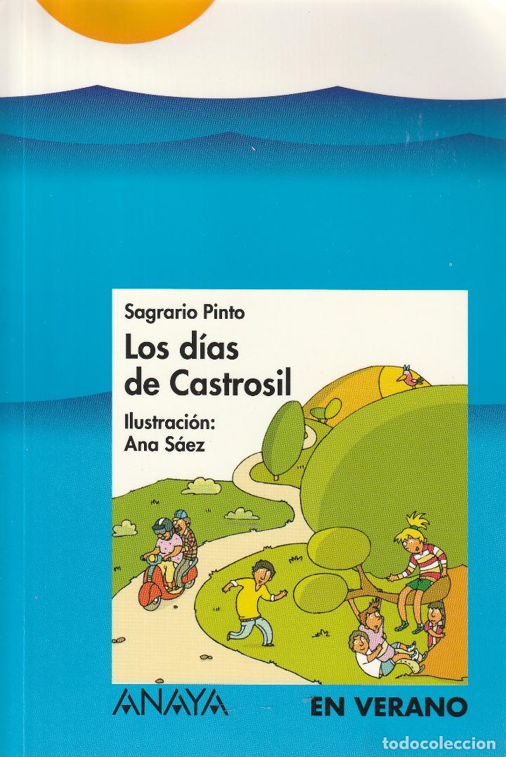 Libros: Los d&iacute;as de Castrosil - Foto 1