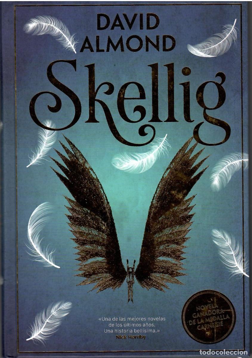 Libros: SKELLIG / DAVID ALMOND - Foto 1