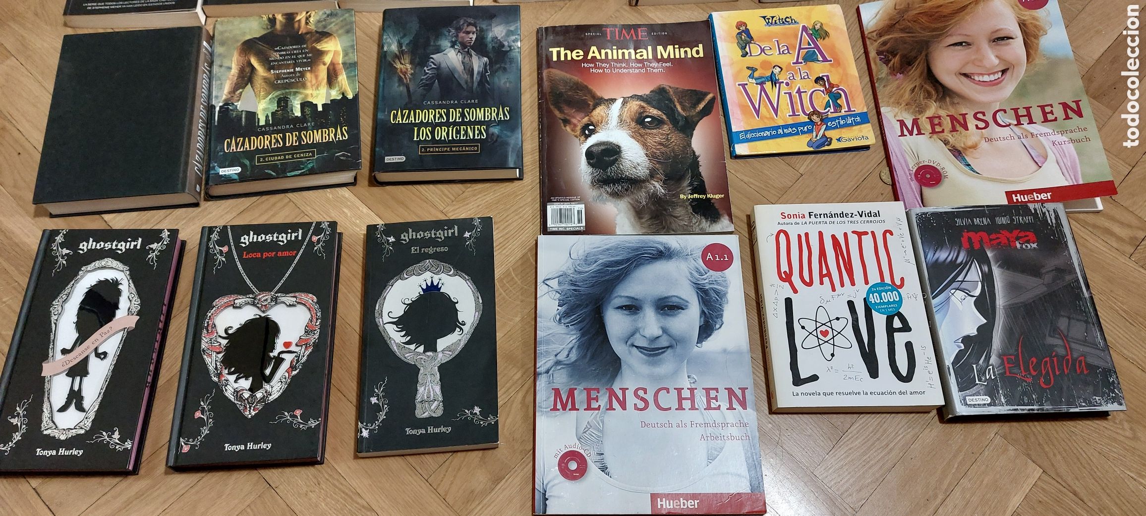 books: Lote Vampirismo y magia adolescente