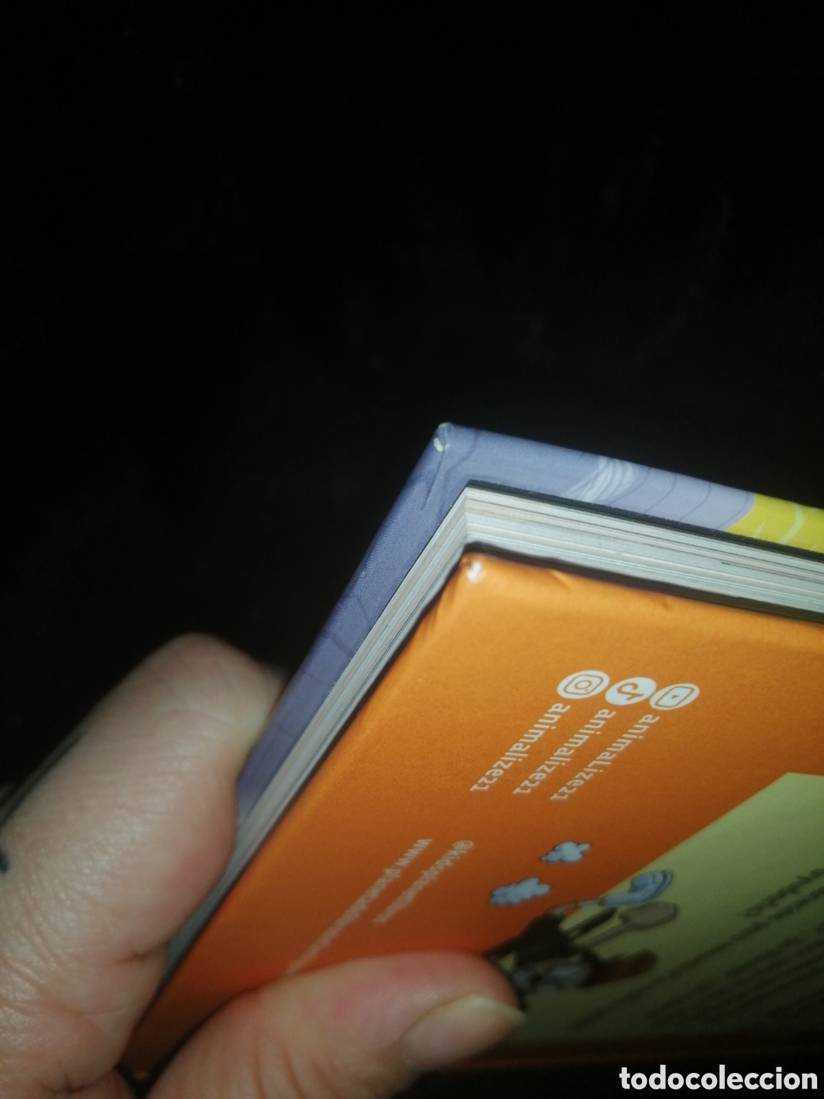 Libros: Libro El Rulas 1 y la motillo perdida - Foto 9