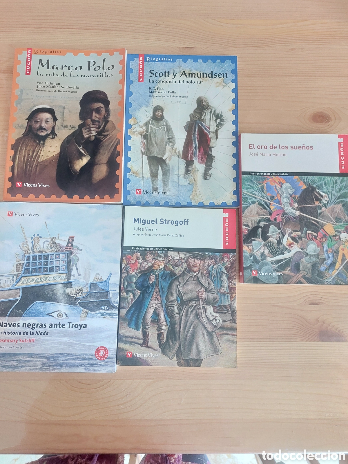 Libros: Lote de 5 libros de la editorial Vicens Vives