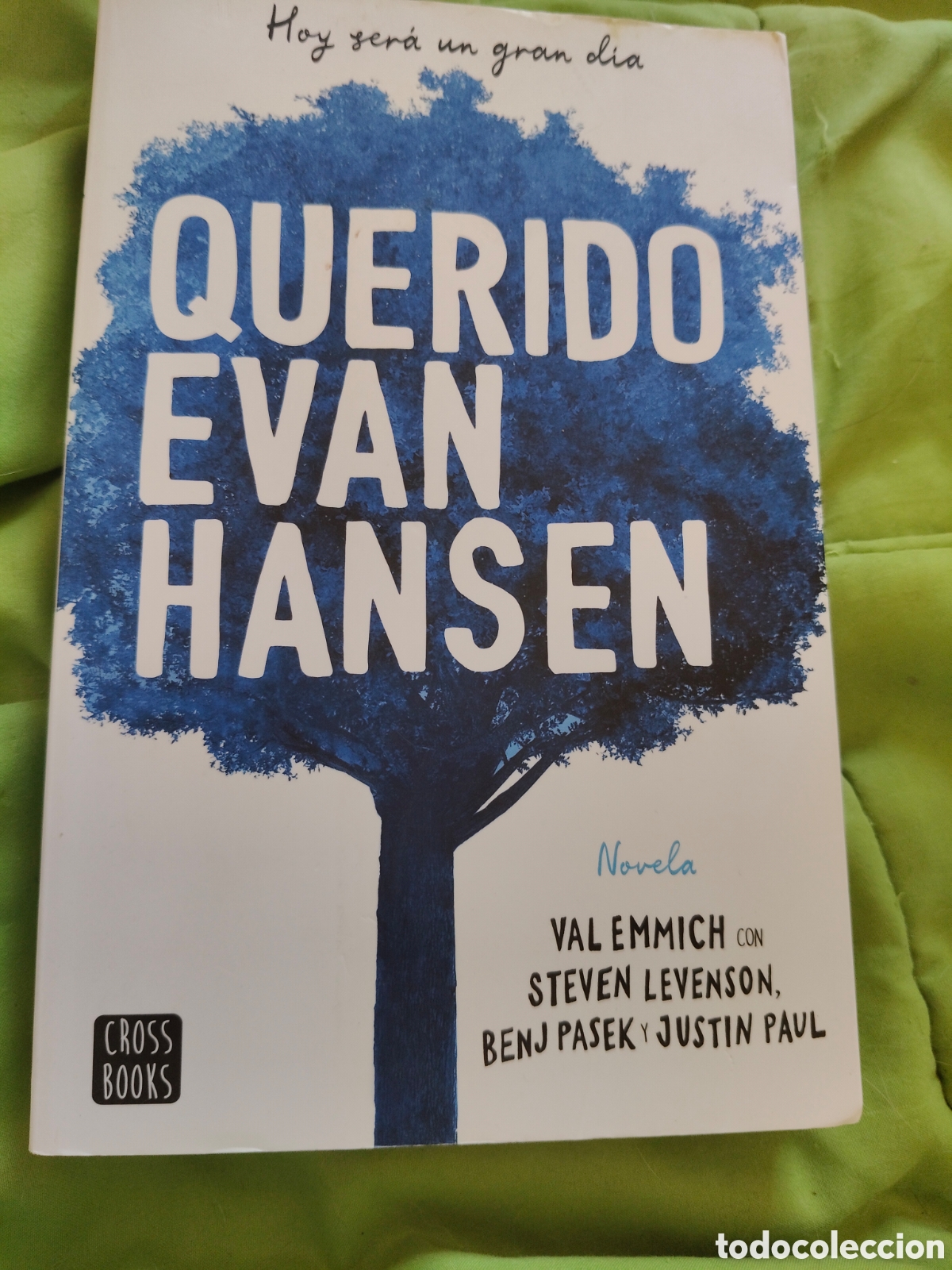 Libros: Querido Evan hansen ( novela)