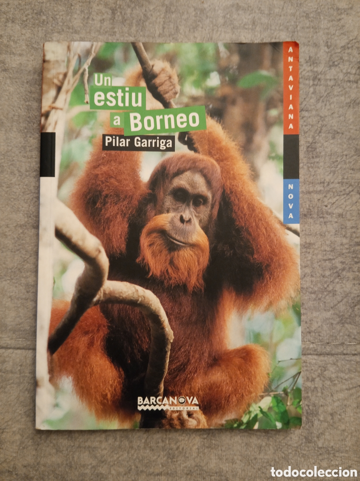 Libros: Libro Un estiu a Borneu Lectura en catal&aacute;n