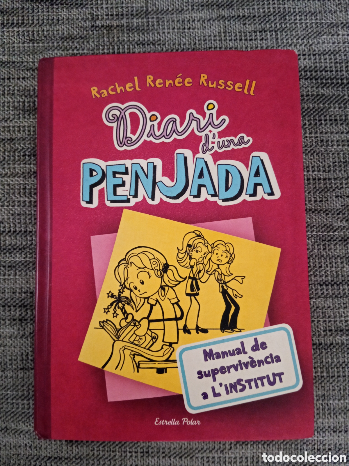Libros: Libro Diari d'una Penjada Manual de supervivencia a L'intitut Lectura en catal&aacute;n