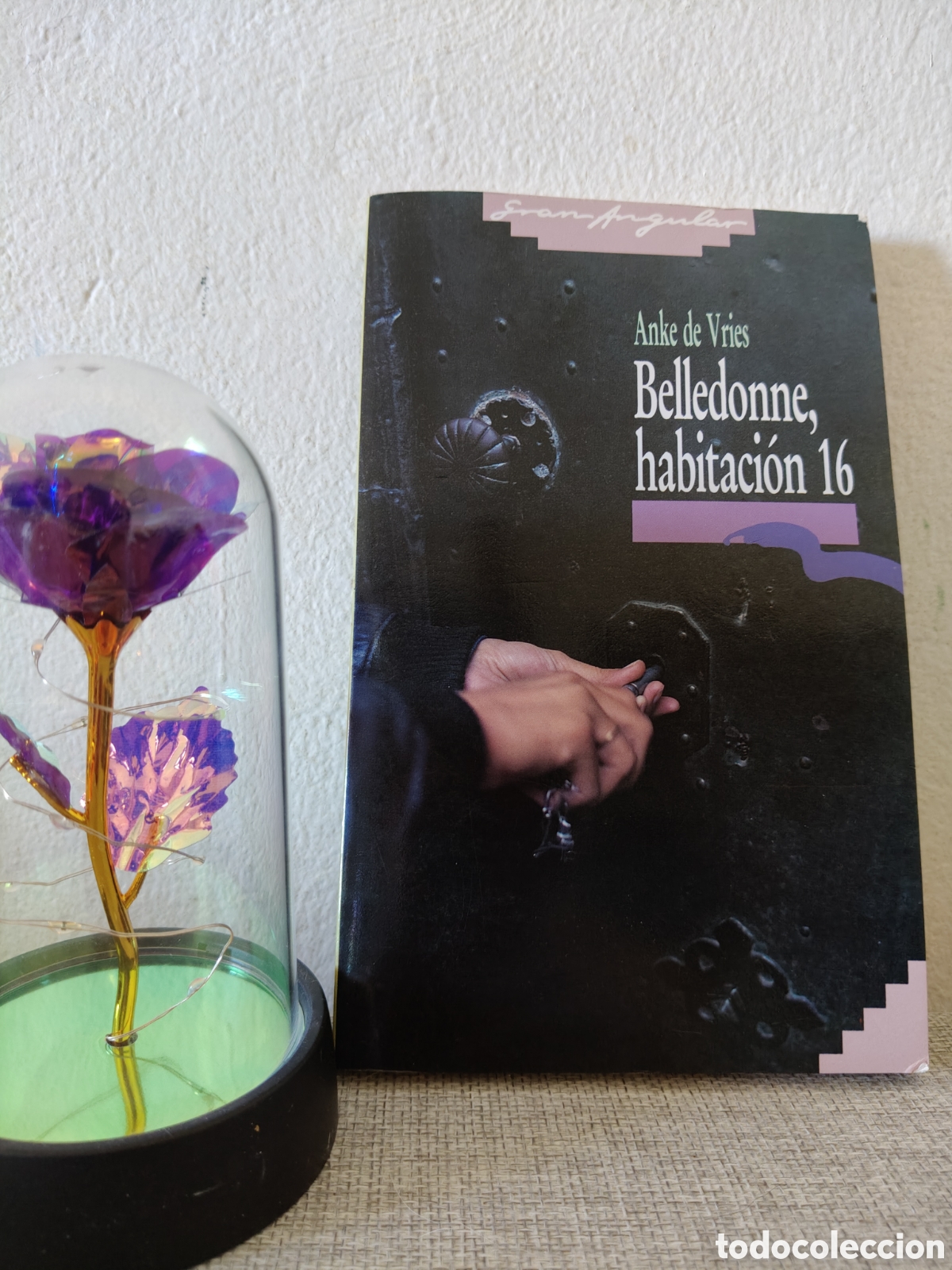 Libros: Belledonne, habitaci&oacute;n 16
