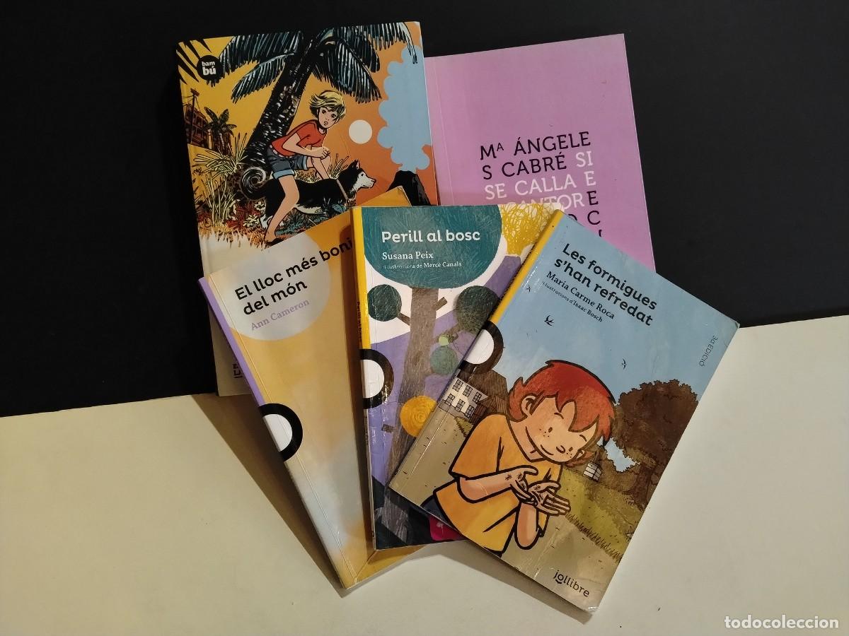 Libros: LOTE 5 LIBROS JUVENILES (VER FOTOS)