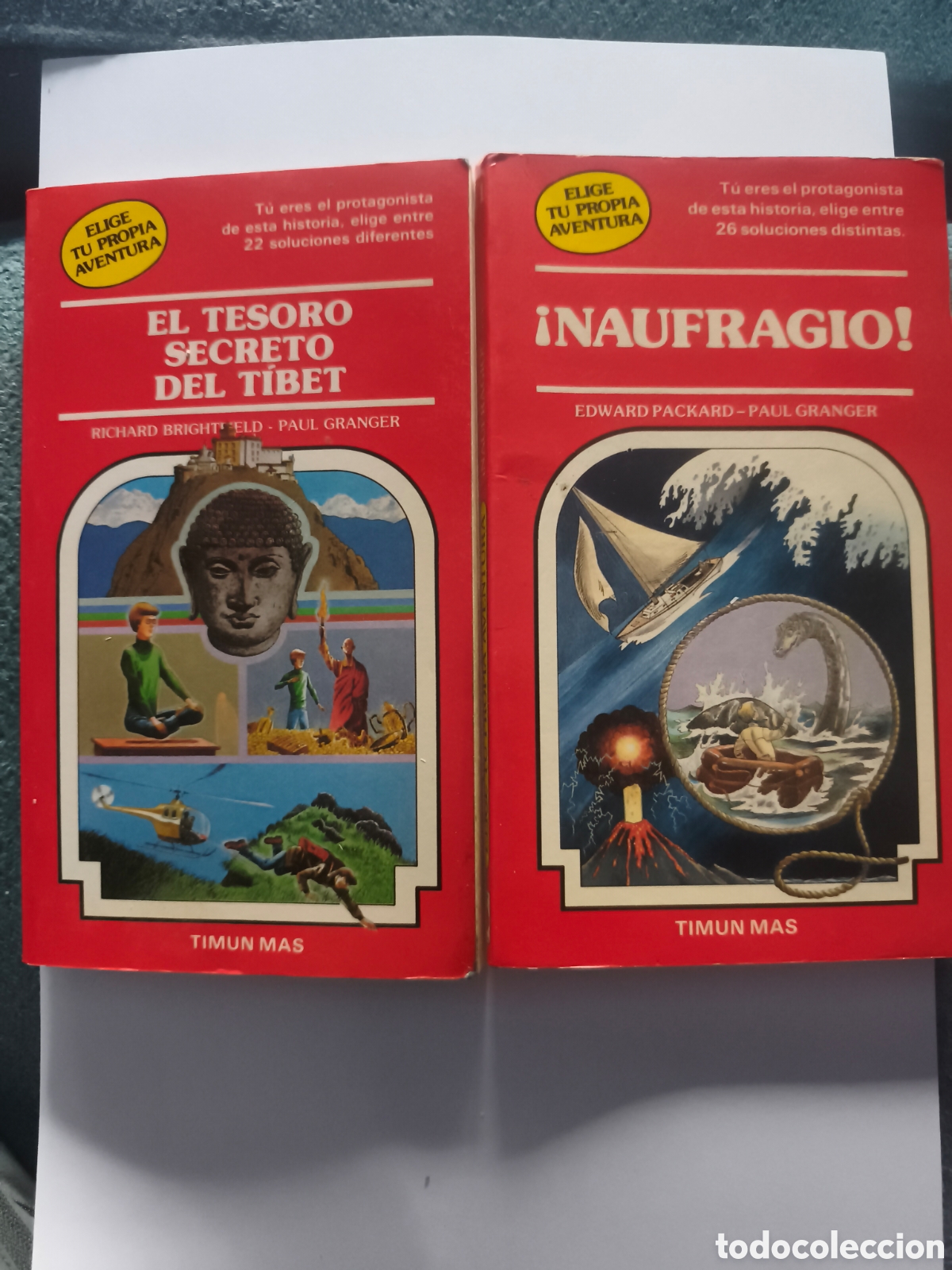 Libros: ELIGE TU PROPIA AVENTURA. DOS LIBROS DIFICILES