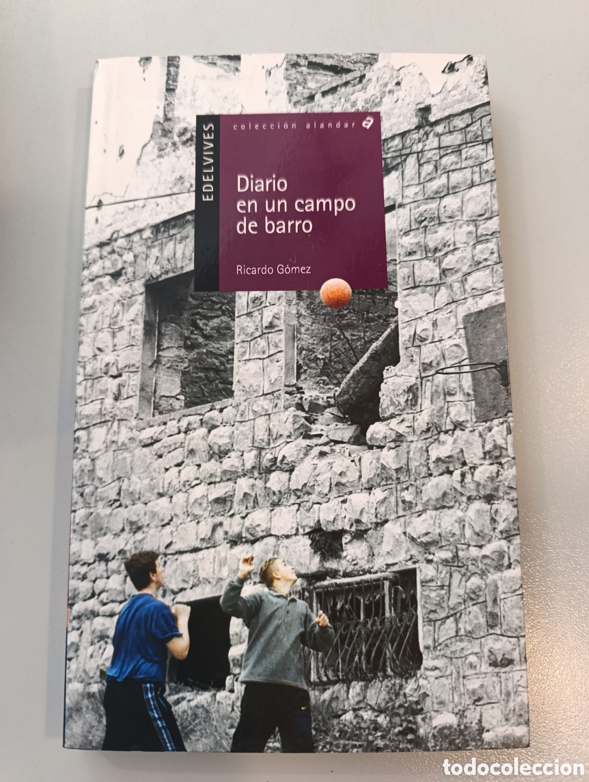 Libros: Diario de un campo de barro