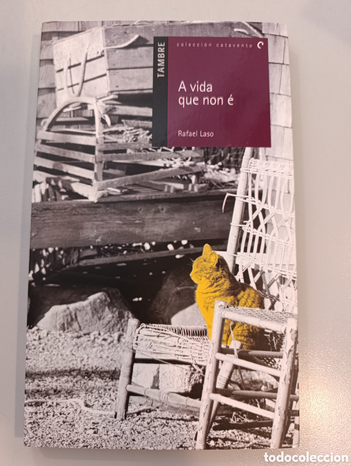 Libros: A vida que non &eacute; Rafael Laso