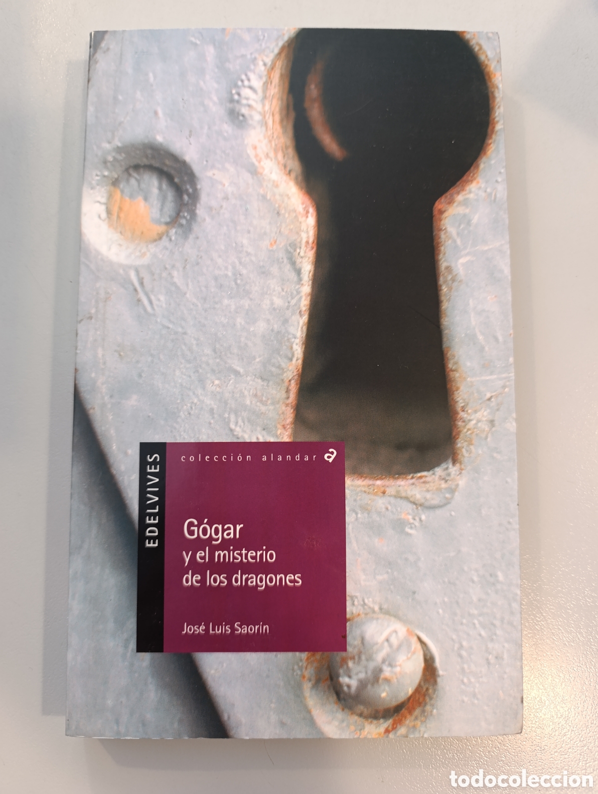 Libros: G&oacute;gar y el misterio de los dragones Jos&eacute; Luis Saorin