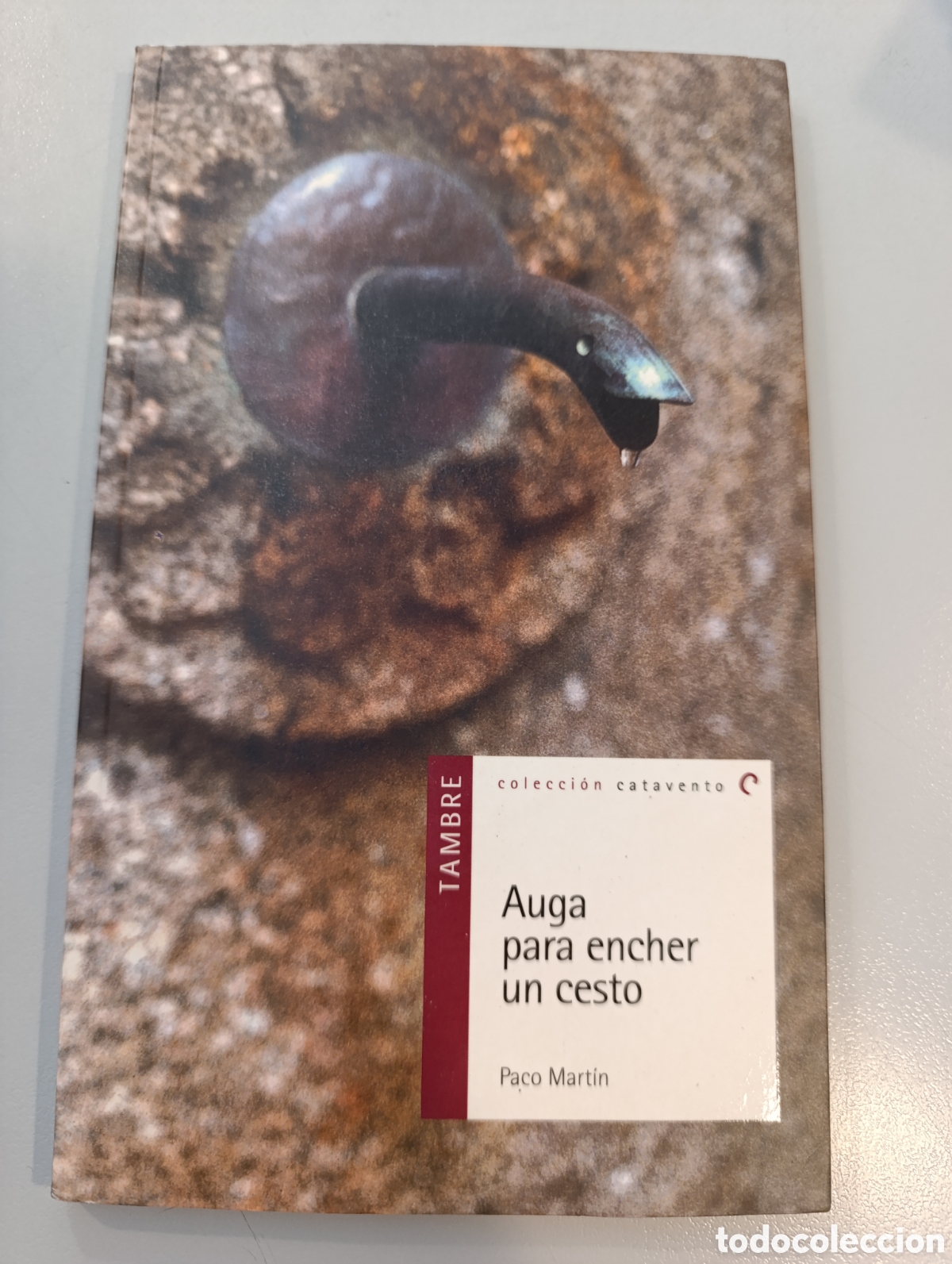 Libros: Auga para encher un cesto Paco Mart&iacute;n
