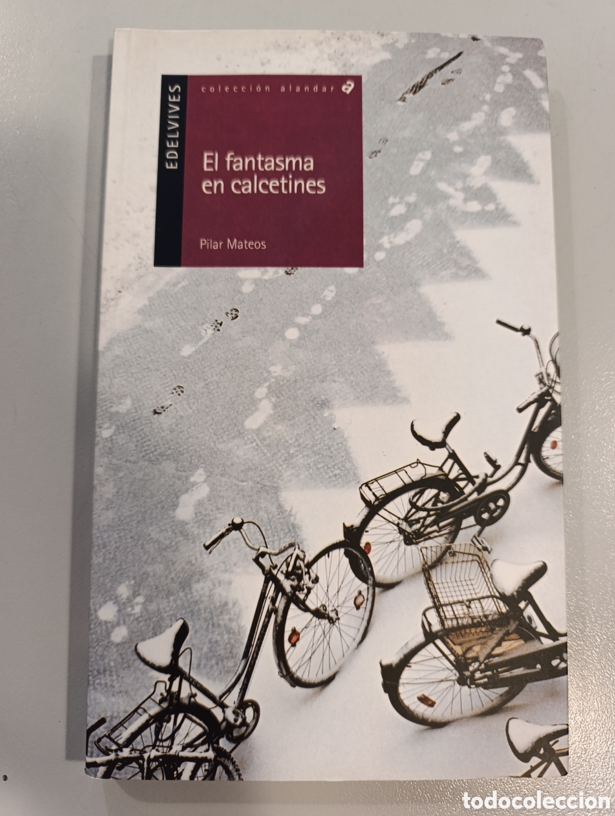Libros: El fantasma en calcetines Pilar Mateos