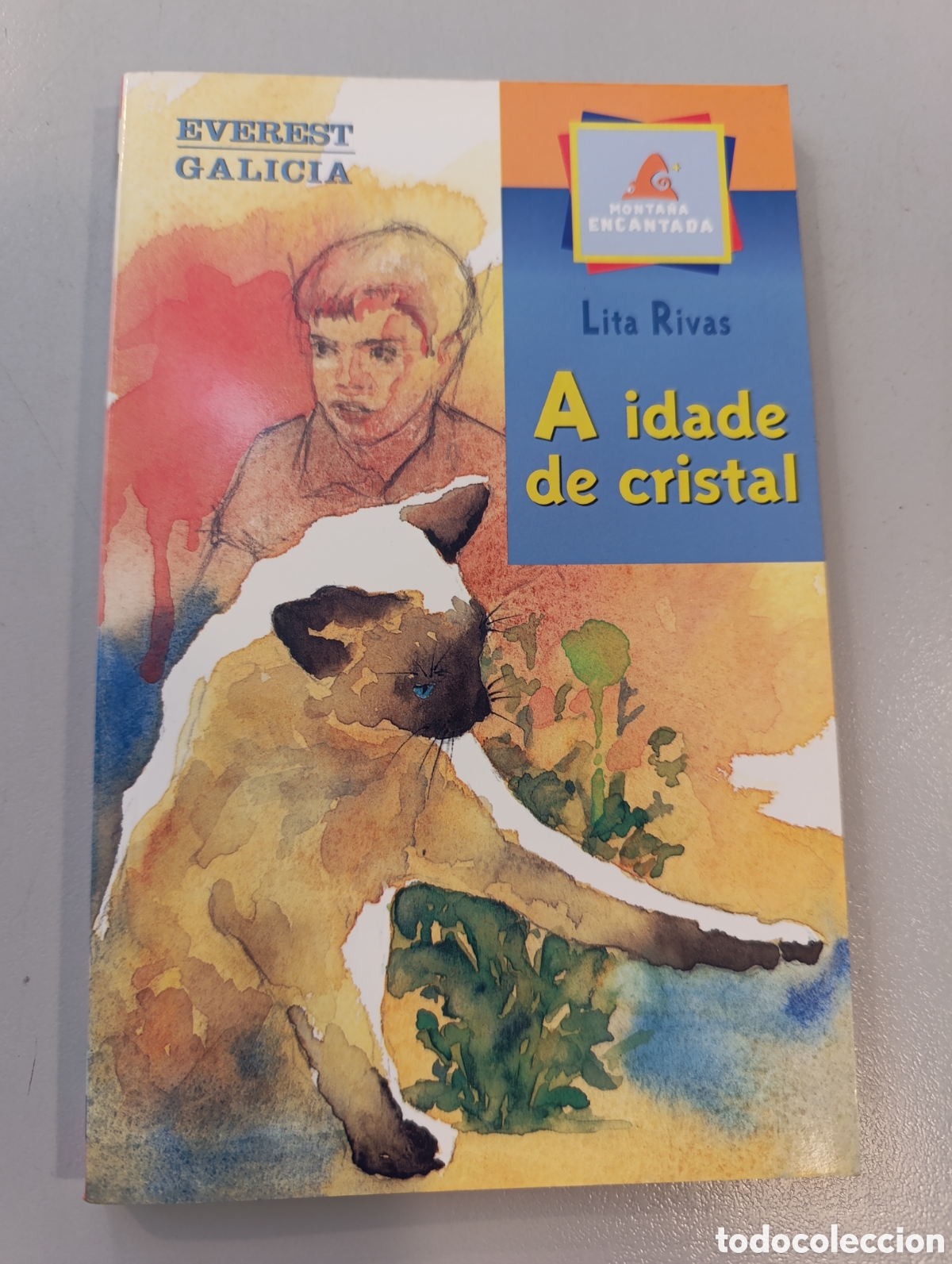 Libros: A idade de cristal Lita Rivas