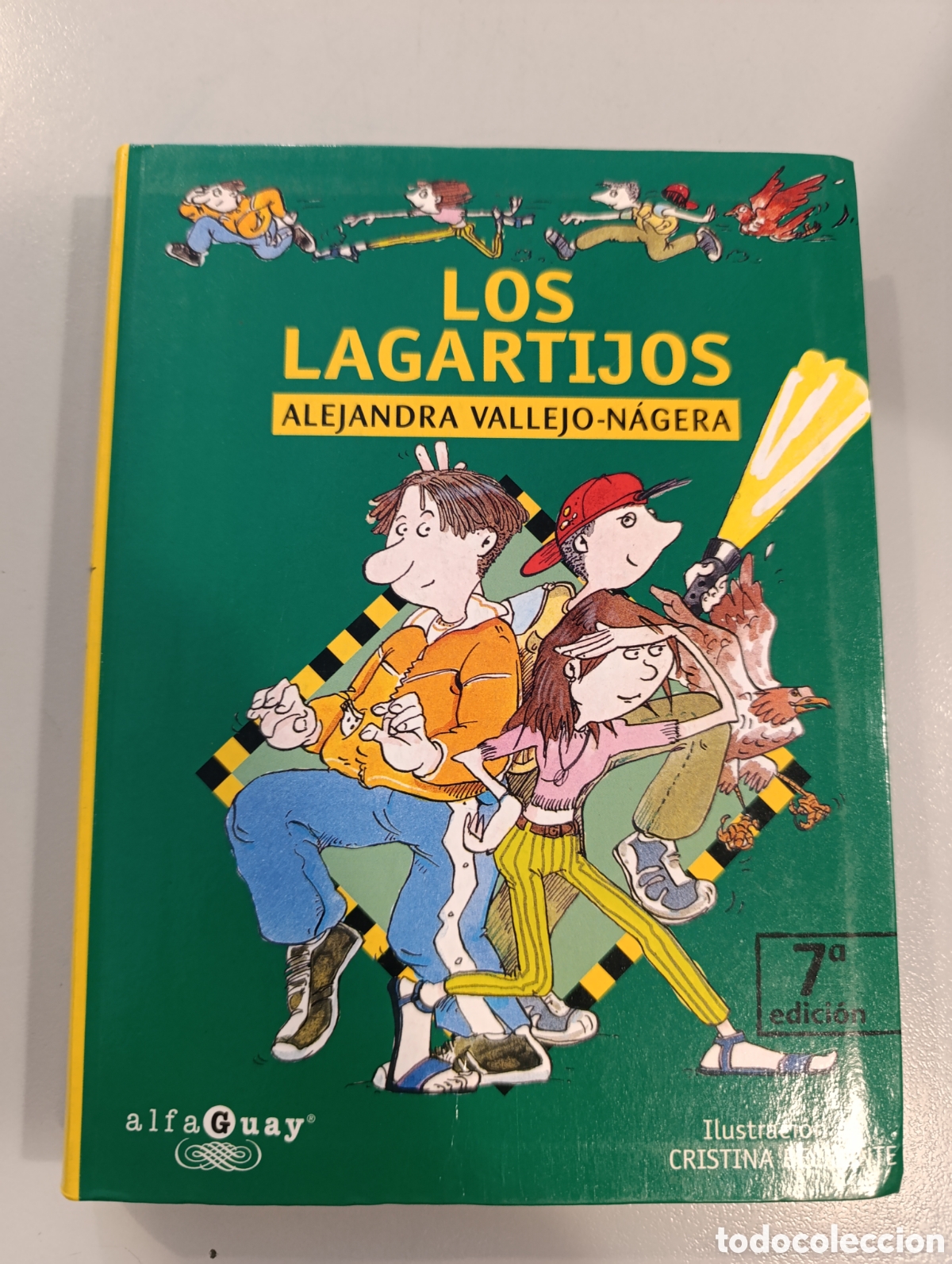 Libros: Los Lagartijos Alejandra Vallejo-N&aacute;gera