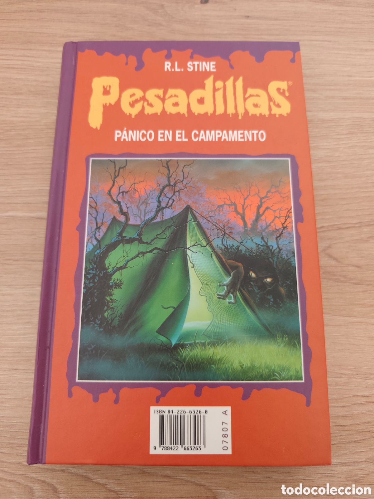 Libros: Lote 2 libros Pesadillas &ndash; R. L. Stine &ndash; P&aacute;nico en el campamento y Terror en la biblioteca