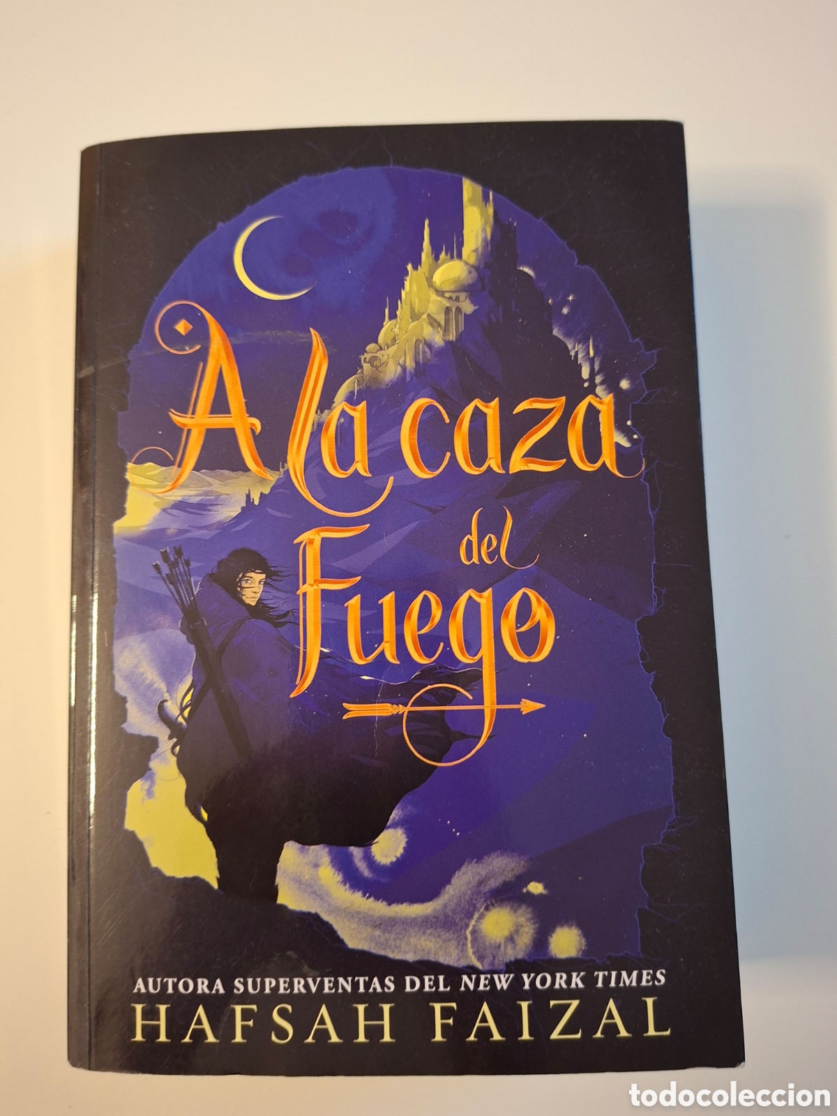 Libros: Libro &rdquo;A la caza del fuego&rdquo;