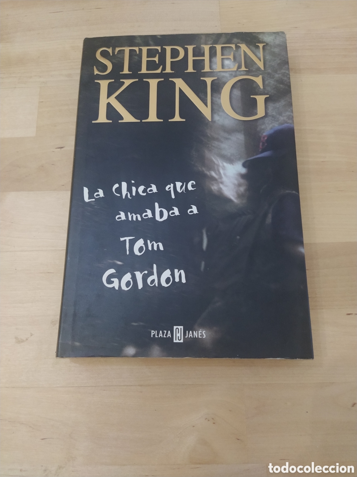 Libros: LA CHICA QUE AMABA A TOM GORDON - STEPHEN KING - Foto 1