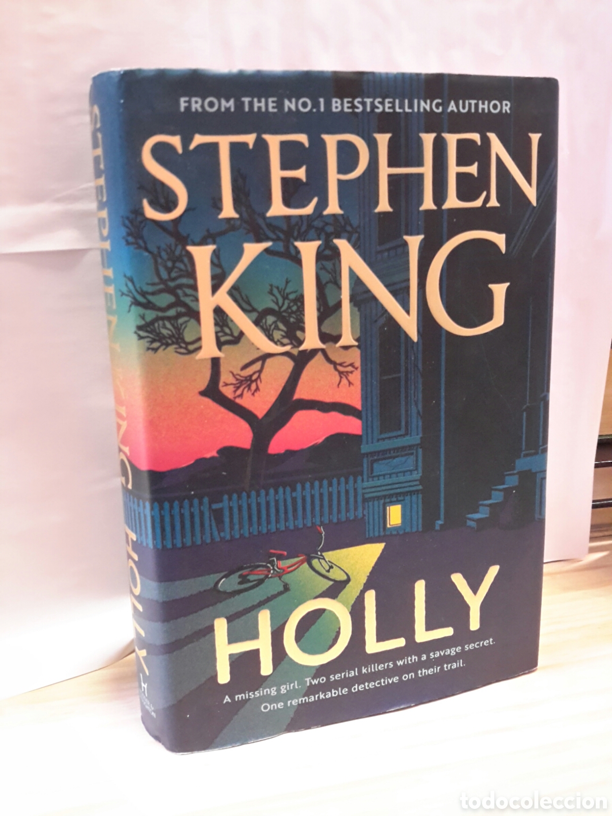 Libros: Stephen King - Holly - Foto 1