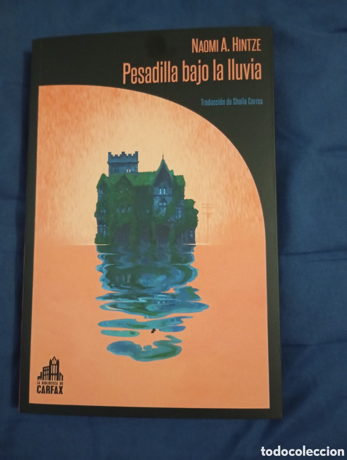 Libros: PESADILLA BAJO LA LLUVIA - NAOMI A. HINTZE