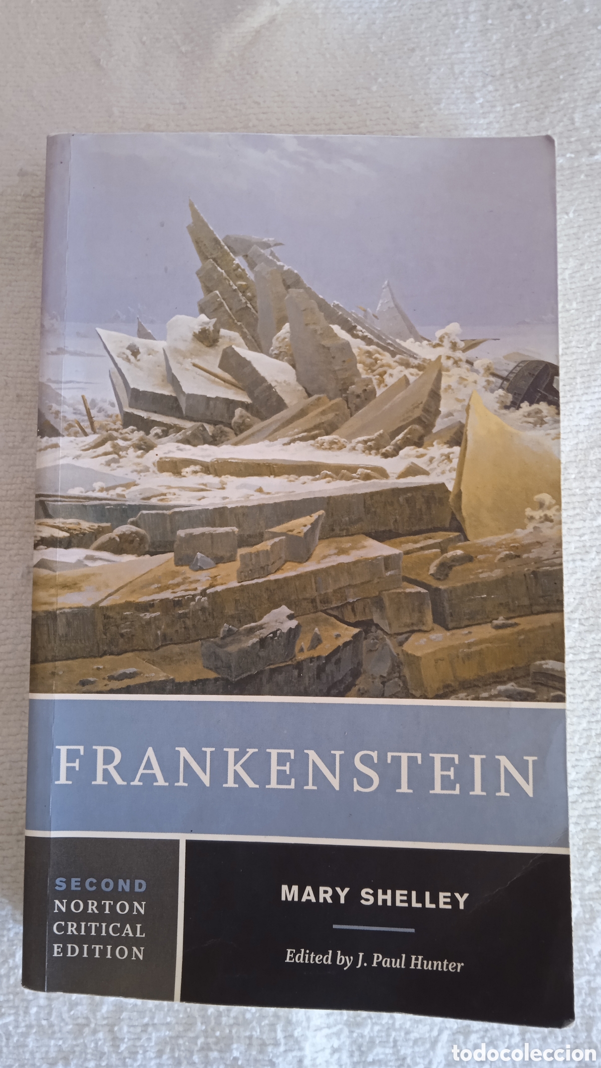 Libros: Frankenstein &ndash; Mary Shelley | Second Norton Critical Edition | Editado por J. Paul Hunter |