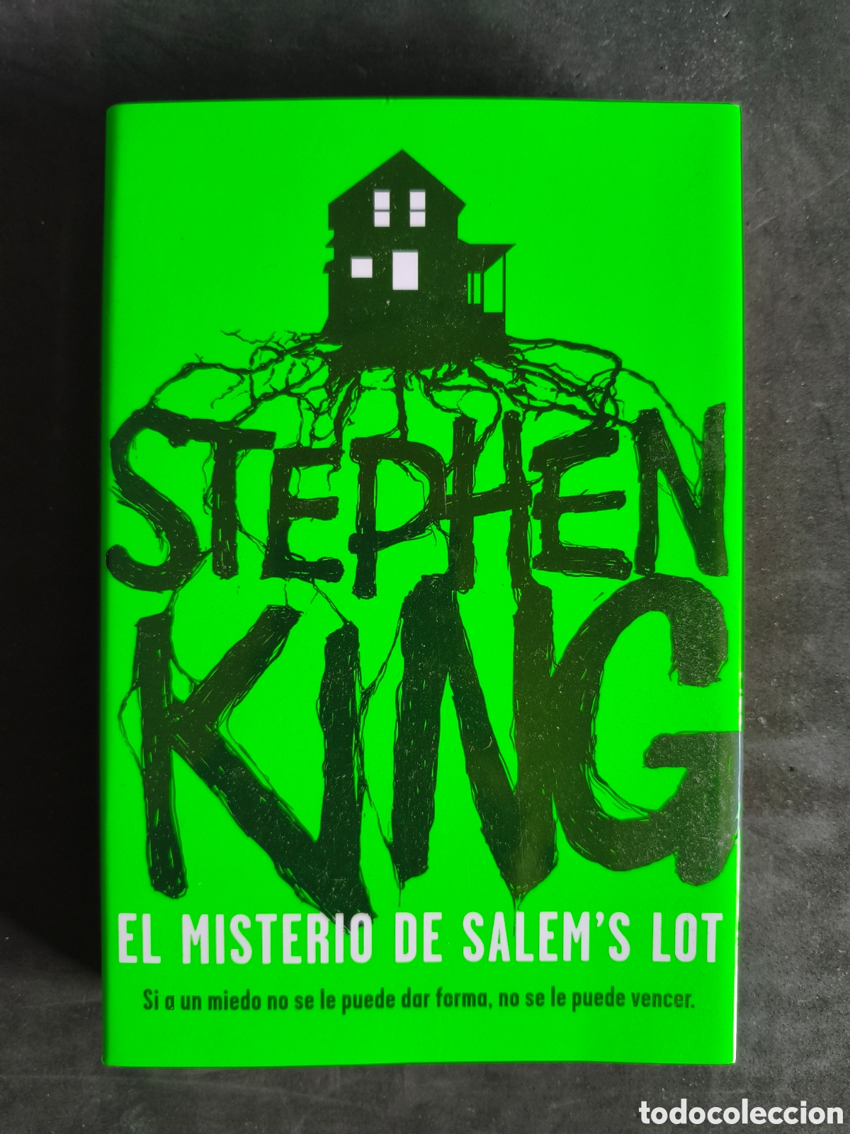 Libros: El misterio de Salem's Lot flexibook