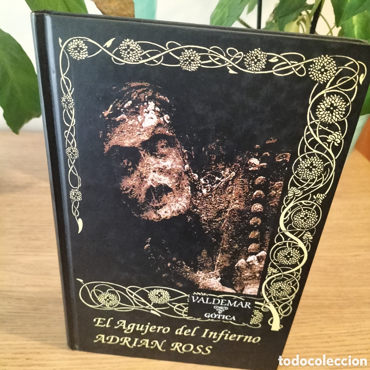 Libros: EL AGUJERO DEL INFIERNO - ADRIAN ROSS - VALDEMAR GOTICA 23 - EXCELENTE ESTADO