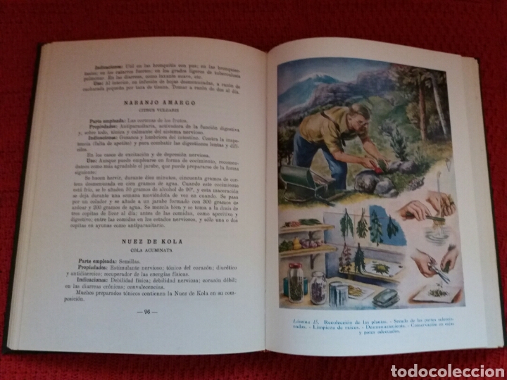 Libros: PLANTAS MEDICINALES DR. VENDER - Foto 3
