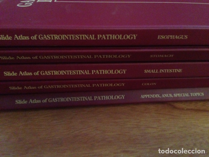 Libros: Gastrointestinal pathology 5 tomos - Foto 2