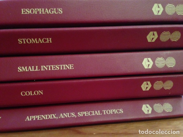 Libros: Gastrointestinal pathology 5 tomos - Foto 3