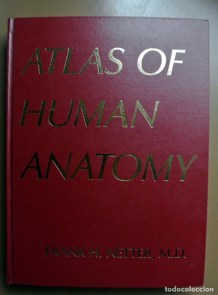 Libros: UNICO Libro ATLAS OF HUMAN ANATOMY , Frank H. Netter, M.D. CIBA-GEYGI - Foto 1 - 207817532