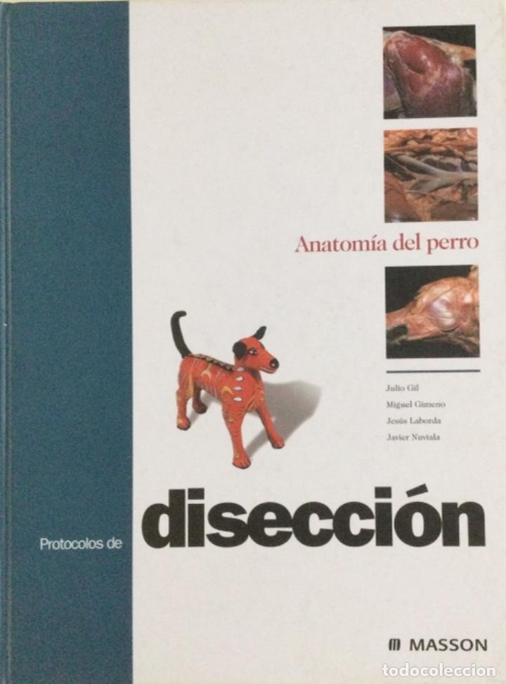 Libros: Anatom&iacute;a del Perro. Protocolos de disecci&oacute;n. Masson. NUEVO - Foto 1