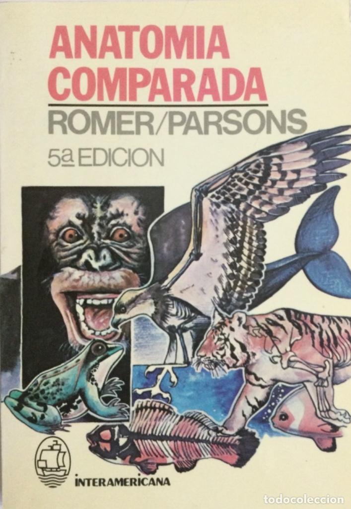 Libros: Anatom&iacute;a Comparada. Romer. NUEVO - Foto 1