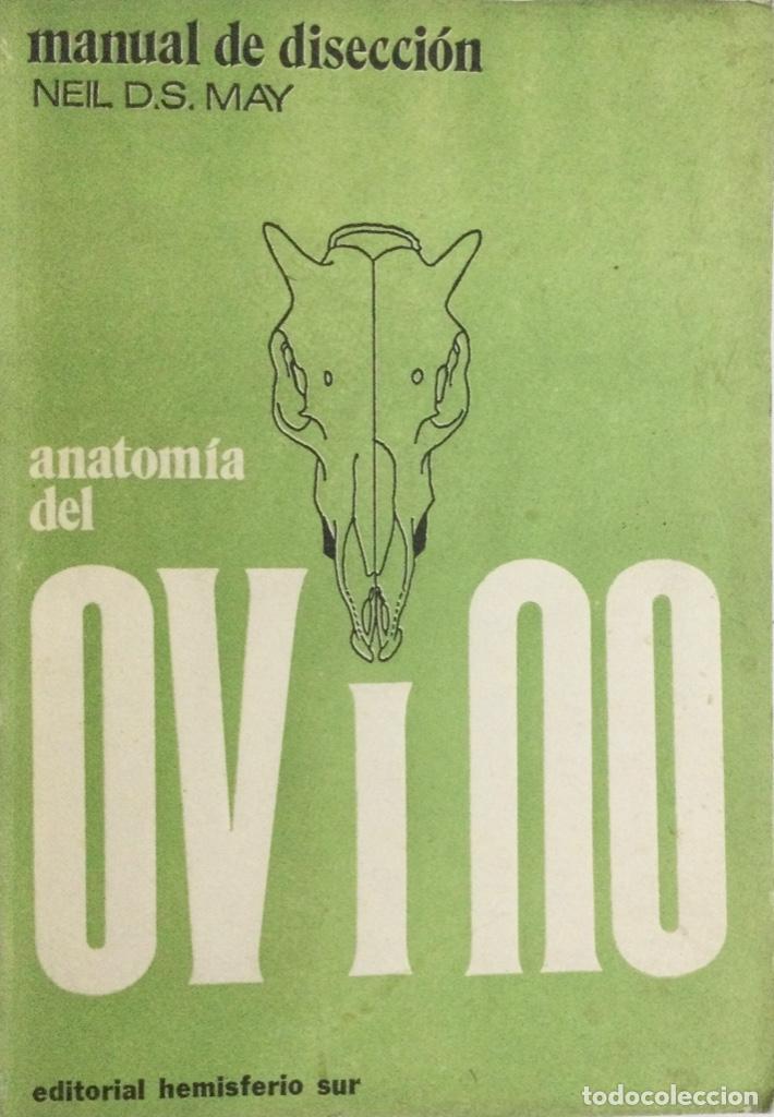 Libros: Anatom&iacute;a del Ovino. May. NUEVO - Foto 1