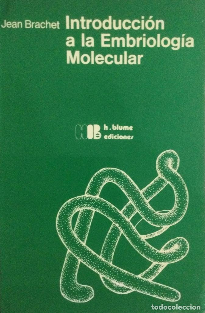 Libros: Introducci&oacute;n a la embriolog&iacute;a molecular. Brachet. NUEVO - Foto 1