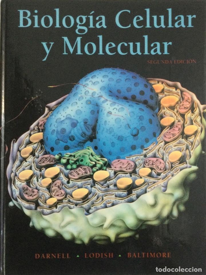 Libros: Biolog&iacute;a celular y Molecular. Darnell. Nuevo - Foto 1