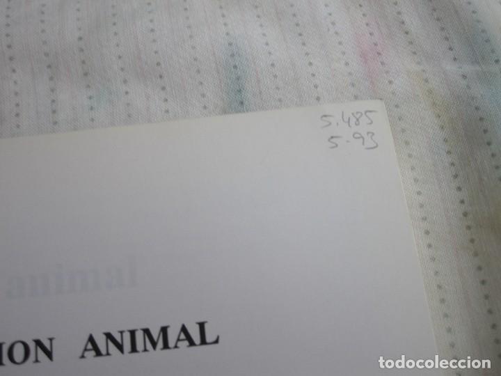 Libros: LIBRO, NUTRICION ANIMAL, 4&ordm; EDICION. - Foto 2