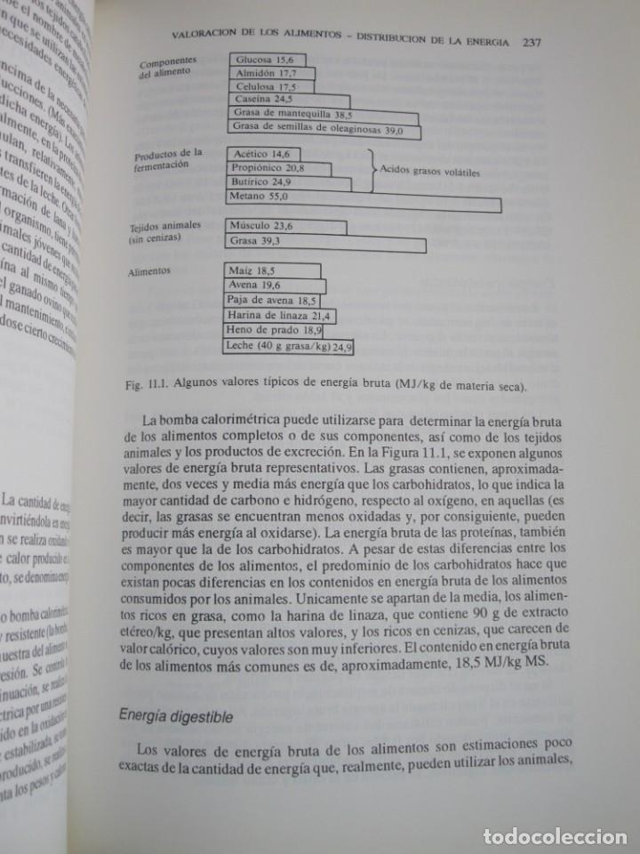 Libros: LIBRO, NUTRICION ANIMAL, 4&ordm; EDICION. - Foto 5