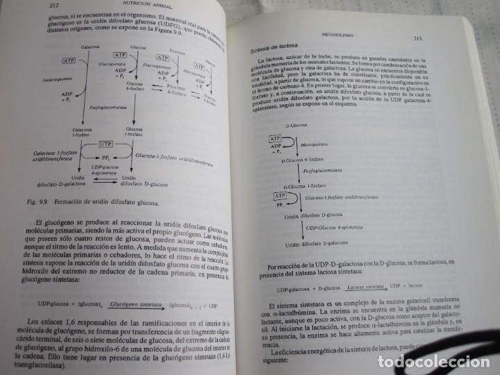 Libros: LIBRO, NUTRICION ANIMAL, 4&ordm; EDICION. - Foto 6