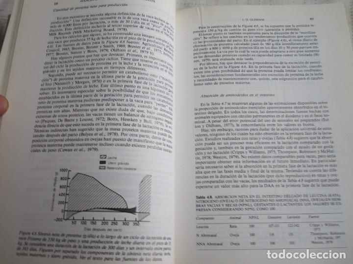Libros: AVANCES EN NUTRICION DE LOS RUMIANTES. - Foto 7