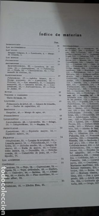 Libros: Plantas medicinales P&iacute;o font quer - Foto 6