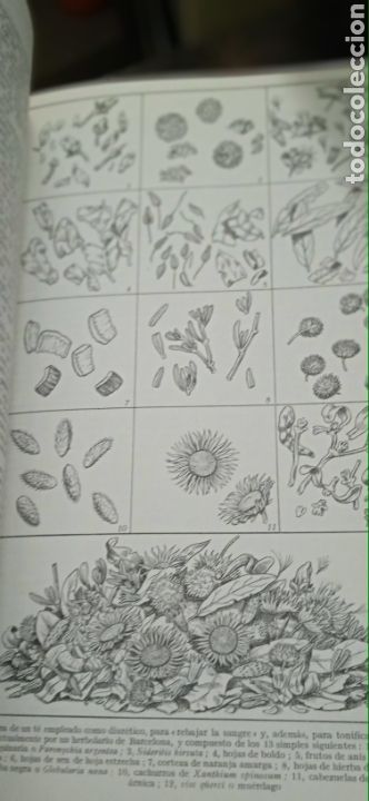 Libros: Plantas medicinales P&iacute;o font quer - Foto 7