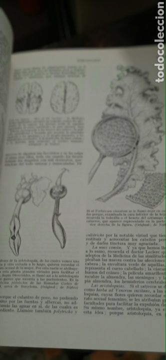 Libros: Plantas medicinales P&iacute;o font quer - Foto 8