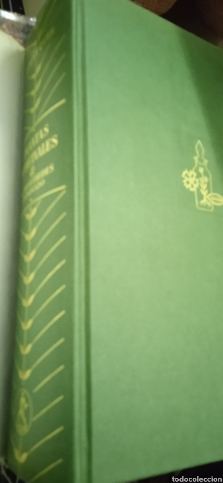 Libros: Plantas medicinales P&iacute;o font quer - Foto 10