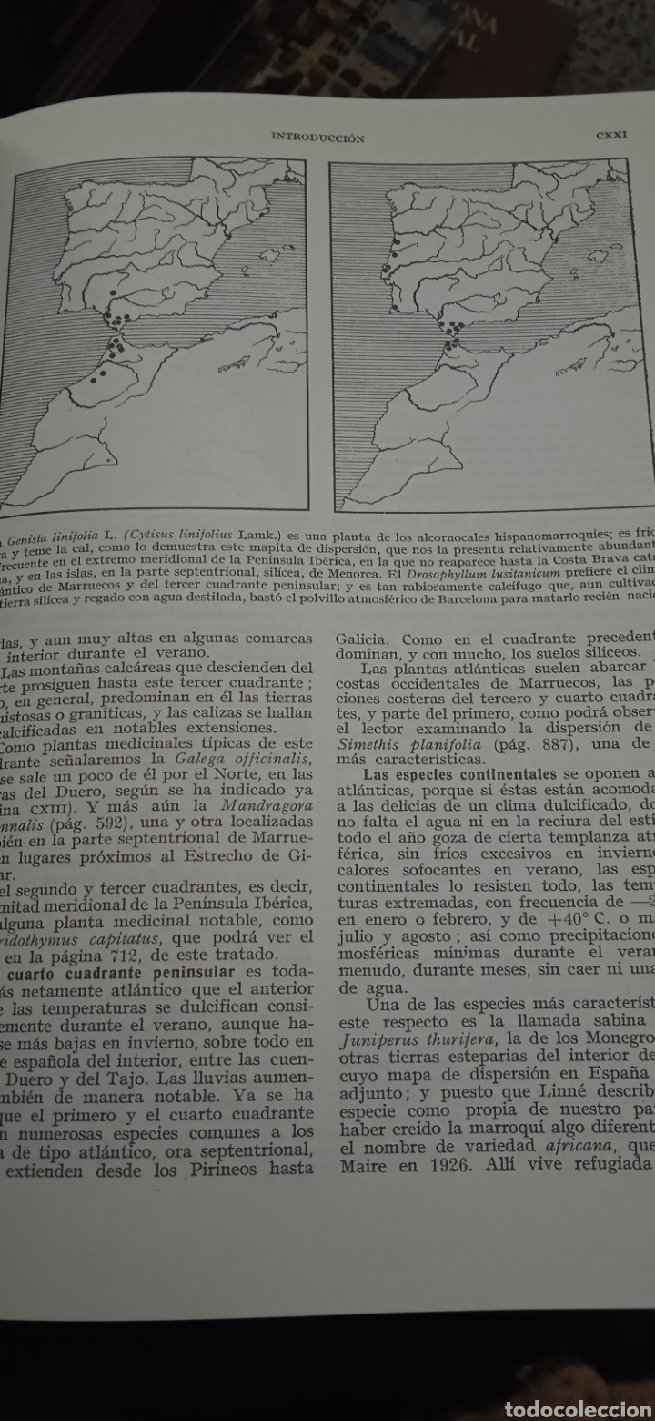 Libros: Plantas medicinales P&iacute;o font quer - Foto 11